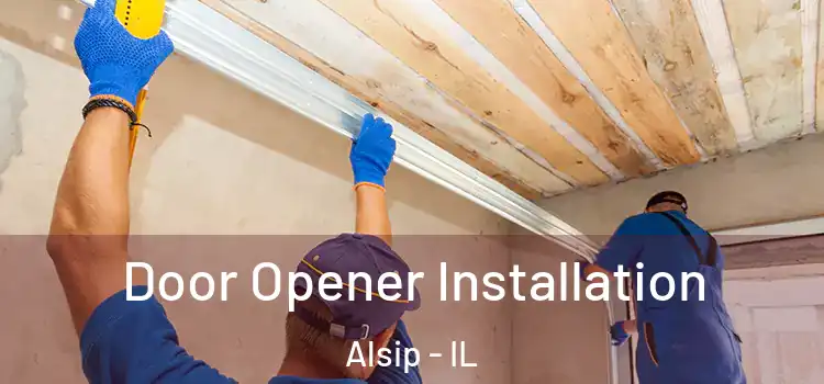 Door Opener Installation Alsip - IL
