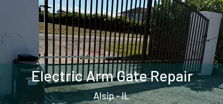 Electric Arm Gate Repair Alsip - IL