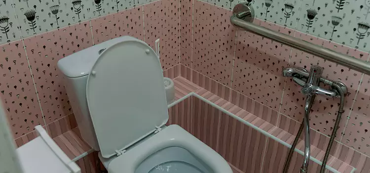 Meeting Diverse Needs With Accessible Restroom Solutions in Alsip, IL